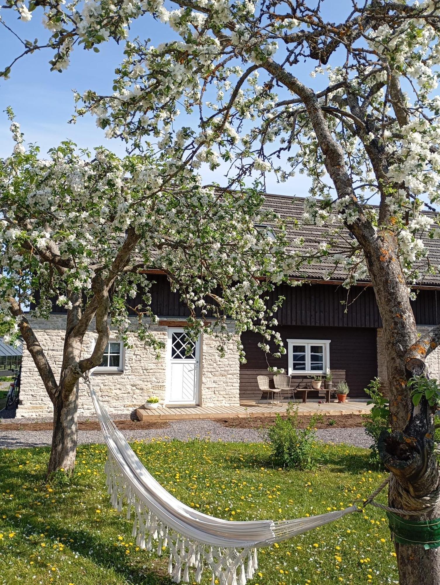 Loo Kodu&Koeoek Otel Muraste Dış mekan fotoğraf